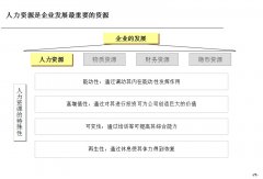 某大型公司人力资源诊断报告